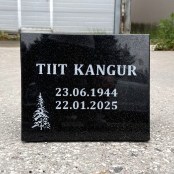 30x25cm плитки