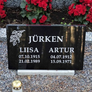 40x25cm плитки